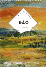 Bão