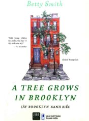 Cây Brooklyn xanh biếc