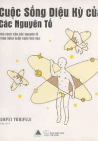 Cuoc Song Dieu Ky Cua Cac So Nguyen To