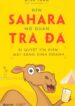 Đến Sahara Mở Quán Trà Đá