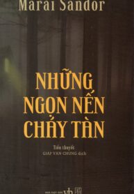 Những Ngọn Nến Cháy Tàn
