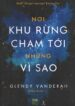 Nơi Khu Rừng Chạm Tới Những Vì Sao